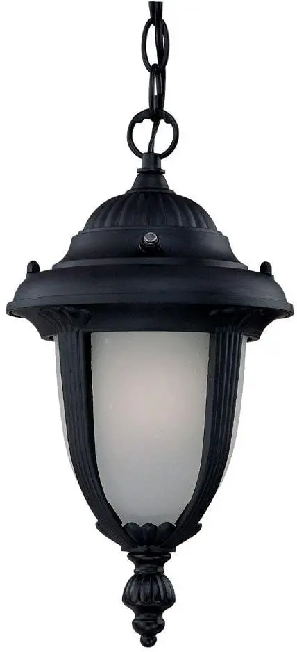 Acclaim Es3512Bk/Fr Black Finish One-Light Outdoor Hanging Lantern 1