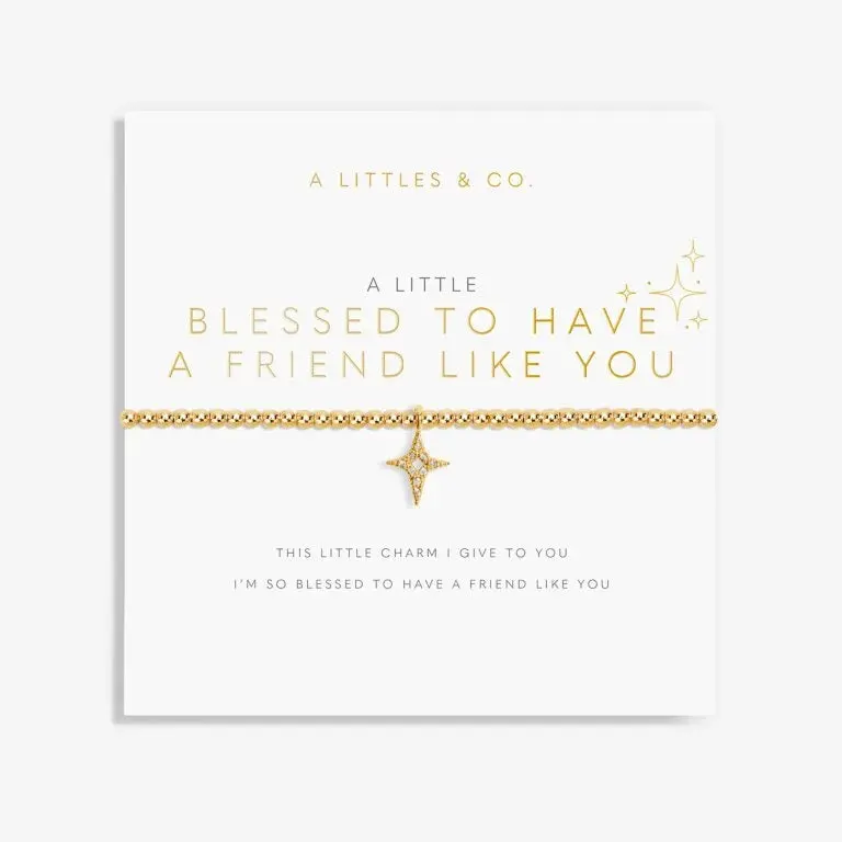 Blessed To Have A Friend Like You Friendship Bracelet 1