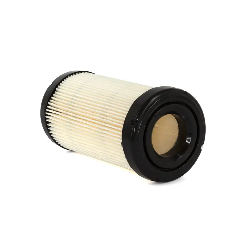 Briggs & Stratton 793569 Air Cleaner Cartridge Filter 1