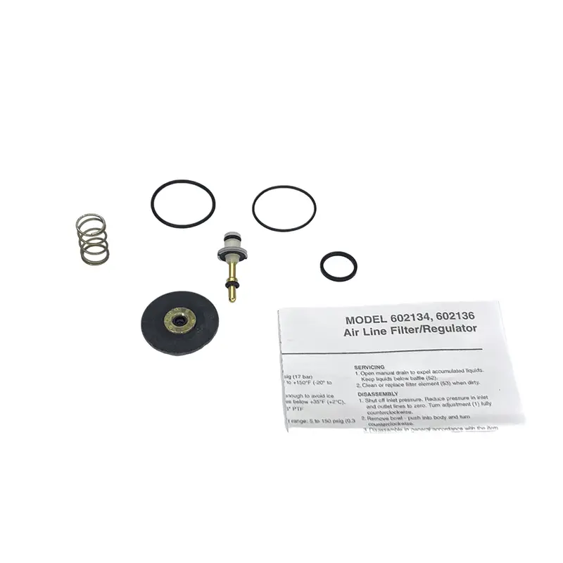 Maintenance Service Kit For Lincoln 602134 And 602136 Filter-Regulators 1