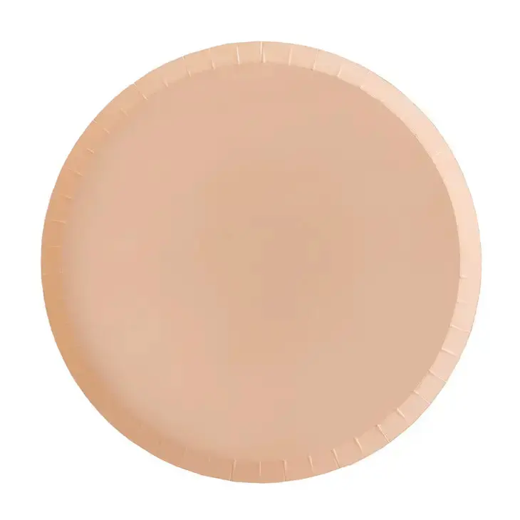 Neutral Sand-Color Ceramic Dinner Plates 1