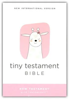 Pink Compact New Testament For Kids 1
