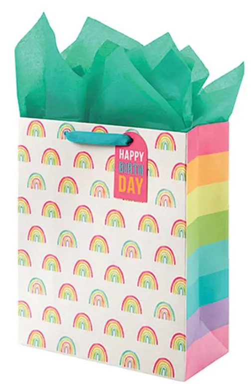 Rainbow Brights Large Celebration Gift Bag 1