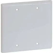 Two-Gang Blank Faceplate For Custom Electrical Configurations 1