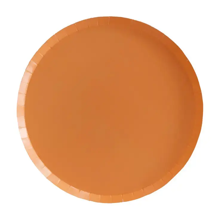 Warm Apricot-Toned Ceramic Dinner Plates 1