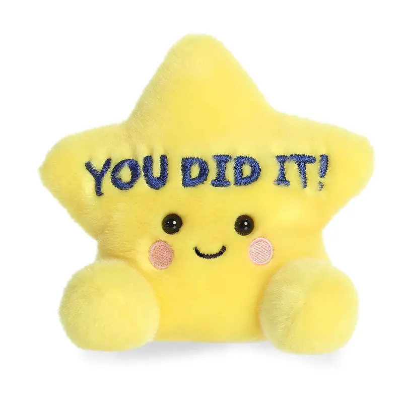 You Did It Star-Shaped Encouragement Palm Pal 1